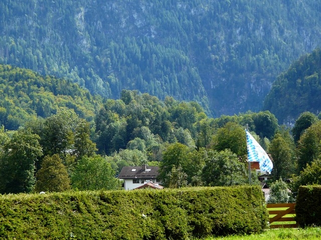 P1050598