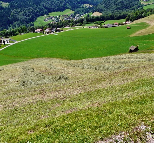 Ramsau, Wanderung zum Hirschkaser