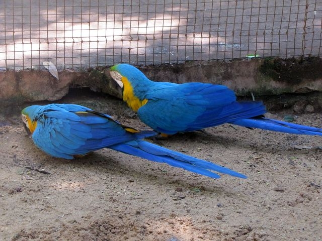 Vogelpark