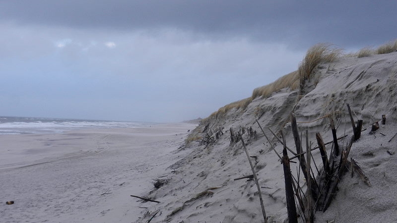 Weststrand (1)