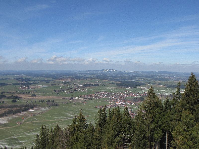Buchenberg 017