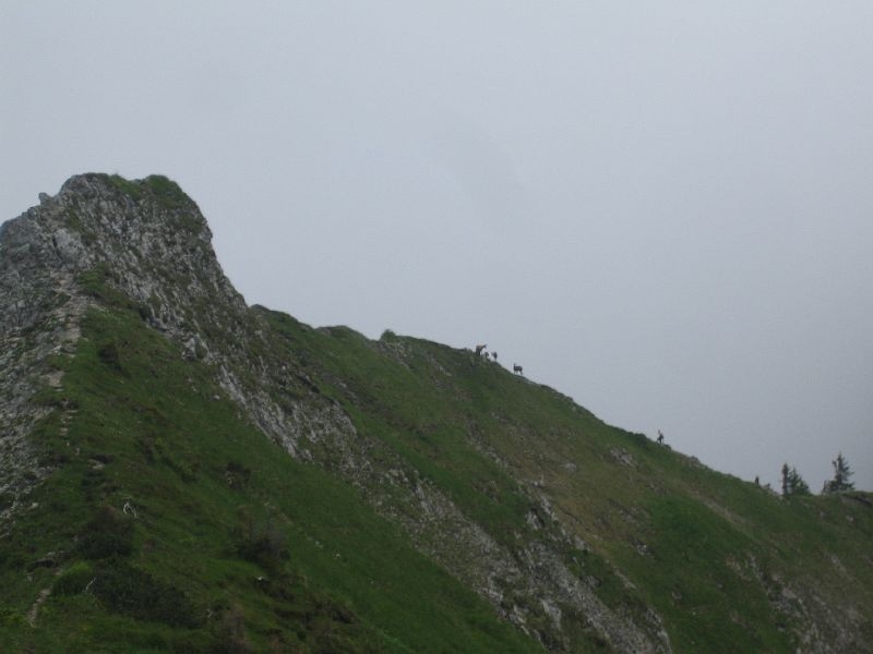 Hasentalkopf 022