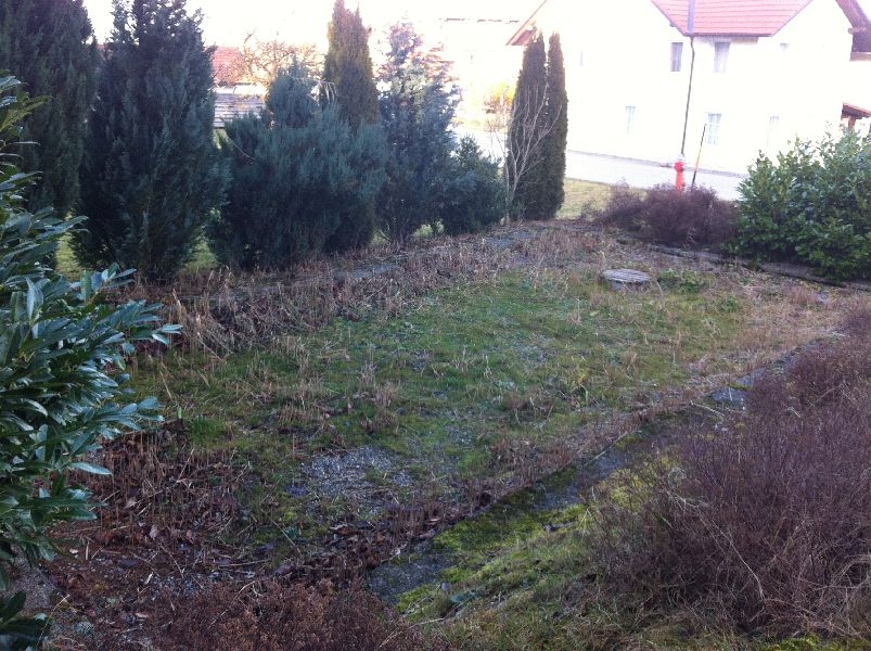 Hängesteg (4)