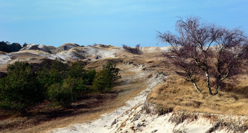 Zingst DSC_6221