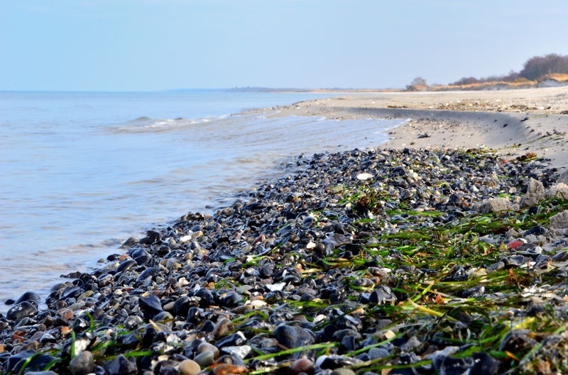 Zingst DSC_6236