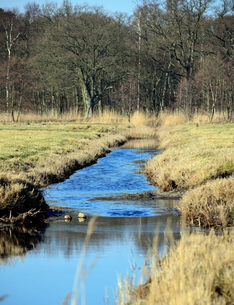 Zingst DSC_6444