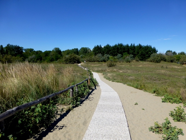 Campingplatz Marina di Venezia  Strandzugang