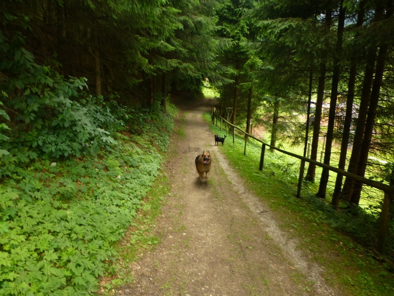 Camping Seeblick Toni