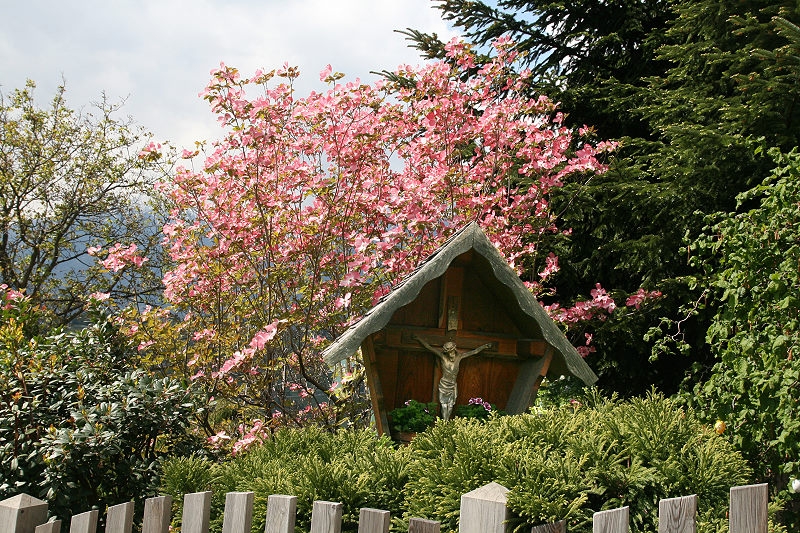 Maiser Waalweg Schenna 038 11 800