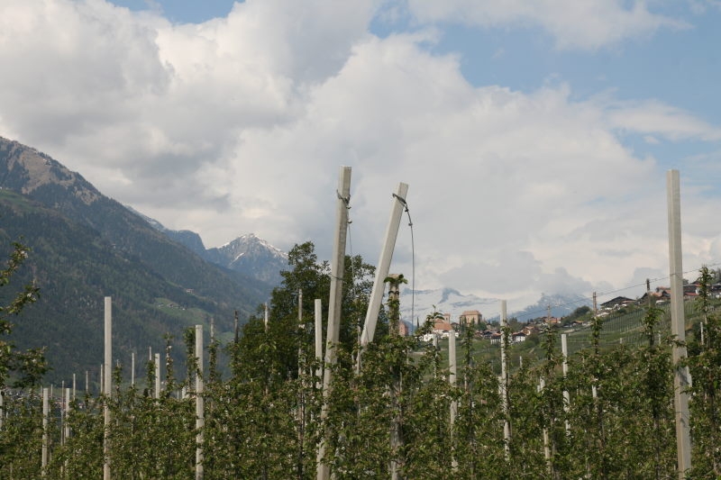 Maiser Waalweg Schenna 040 800