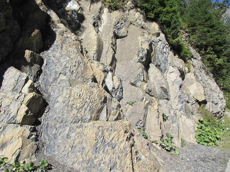 Fallerschein 023