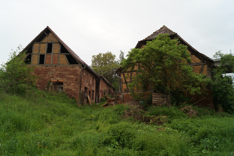 D:BAY>Wörth>innere Mühle5