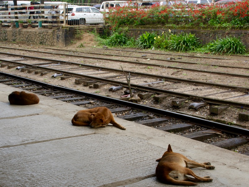 Nanu-Oya > Bahnhof