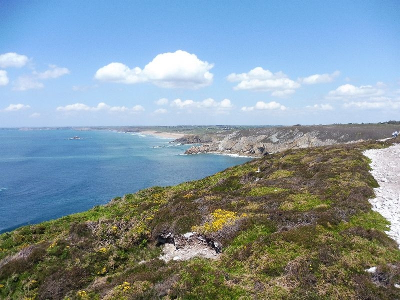 Morgat Cap de la Chèvre (39)