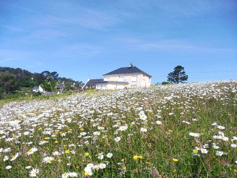 Morgat Wanderung Aber (41)