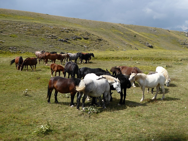 Gran Sasso (34)