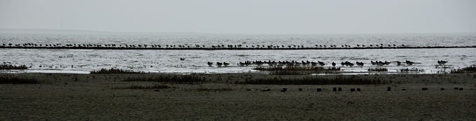 2011b Ostfriesland 4