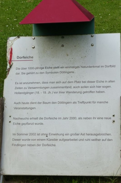 Info zur Dorfeiche