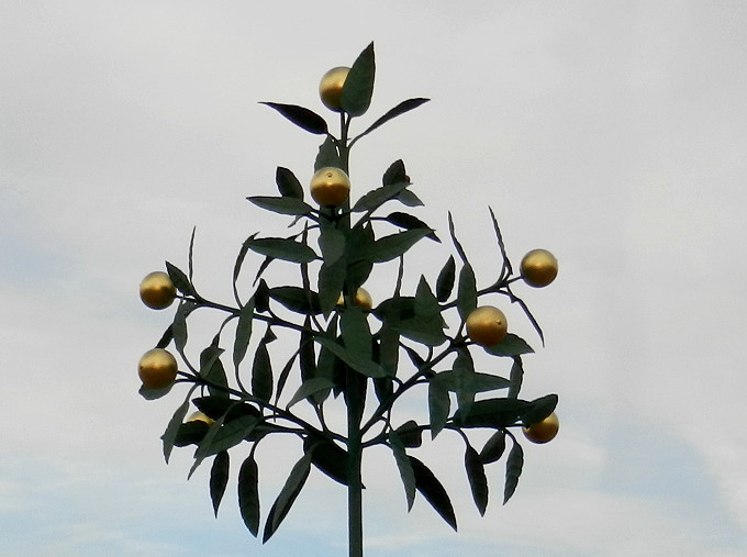 ORANIENBAUM > Marktplatz