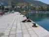BUDVA > Marina1 BUDVA > Marina1
