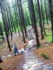 Elbsandsteingebirge > Wanderung einige Tage vor der großen Flut Elbsandsteingebirge > Wanderung einige Tage vor der großen Flut