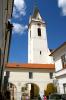 CZ: Trebon  (Okres Jindrichuv Hradec) Nepomuk in der Augustiner Klosterkirche 2