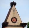 Storchendorf Holzen Storchendorf Holzen